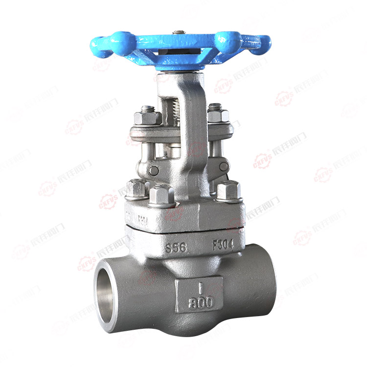 Forged steel butt-weld gate valve