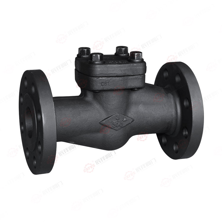 Forged steel check valve