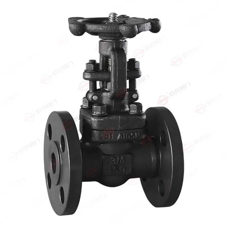 Forged steel flanged gate valve