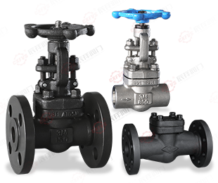 Forged Steel Valve Series