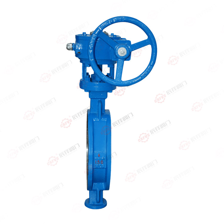 Worm gear clamp butterfly valve