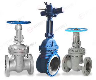 Gate Valve series