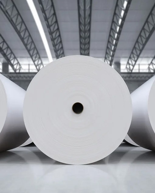 Papermaking industry