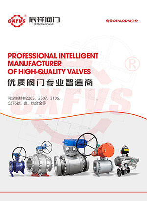 Enterprise promotional brochure