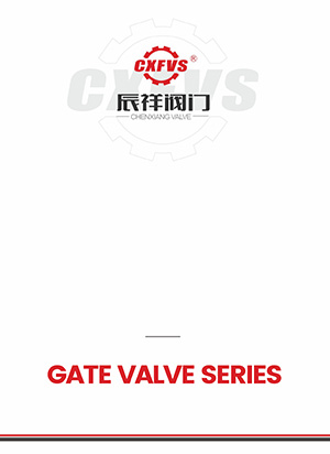 Gate valve series