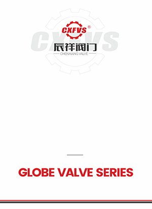 Globe valve series