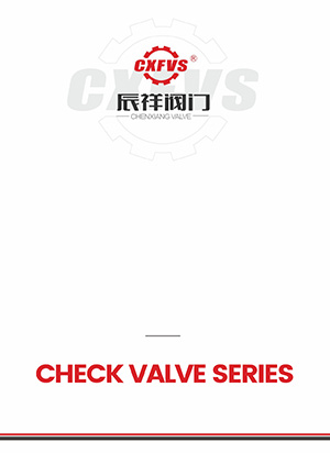 Check valve series