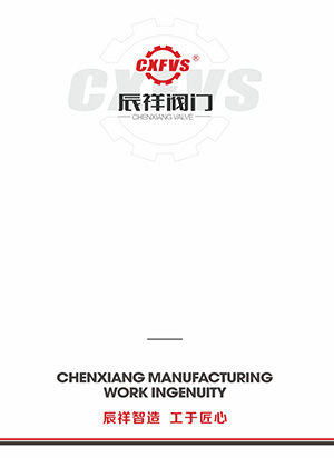 Corporate brochure